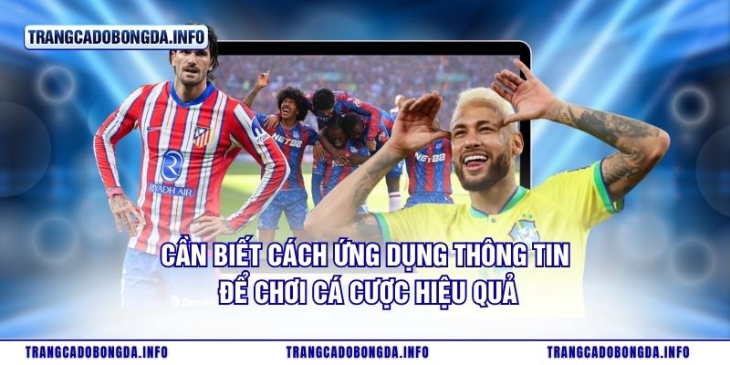 Cần biết cách ứng dụng thông tin để chơi cá cược hiệu quả