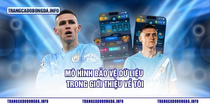 Mô hình bảo vệ dữ liệu trong giới thiệu về tôi