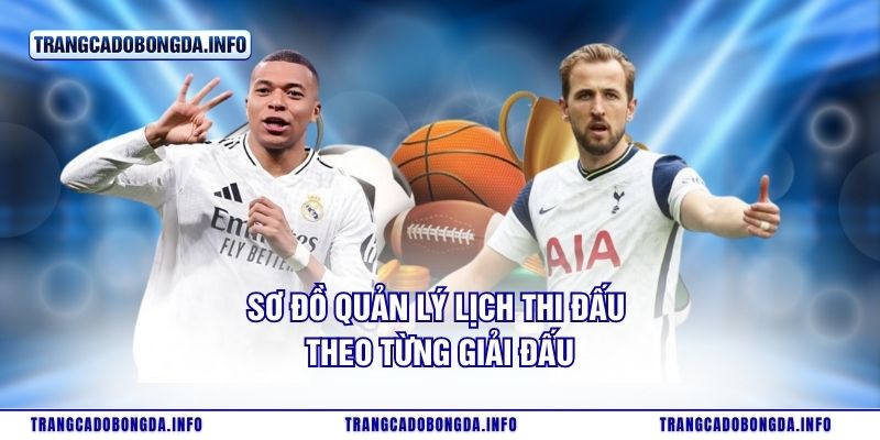 Sơ đồ quản lý lịch thi đấu theo từng giải đấu