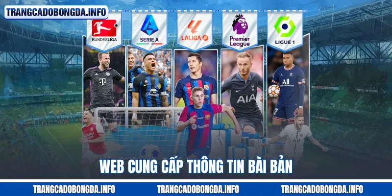 Web cung cấp thông tin bài bản
